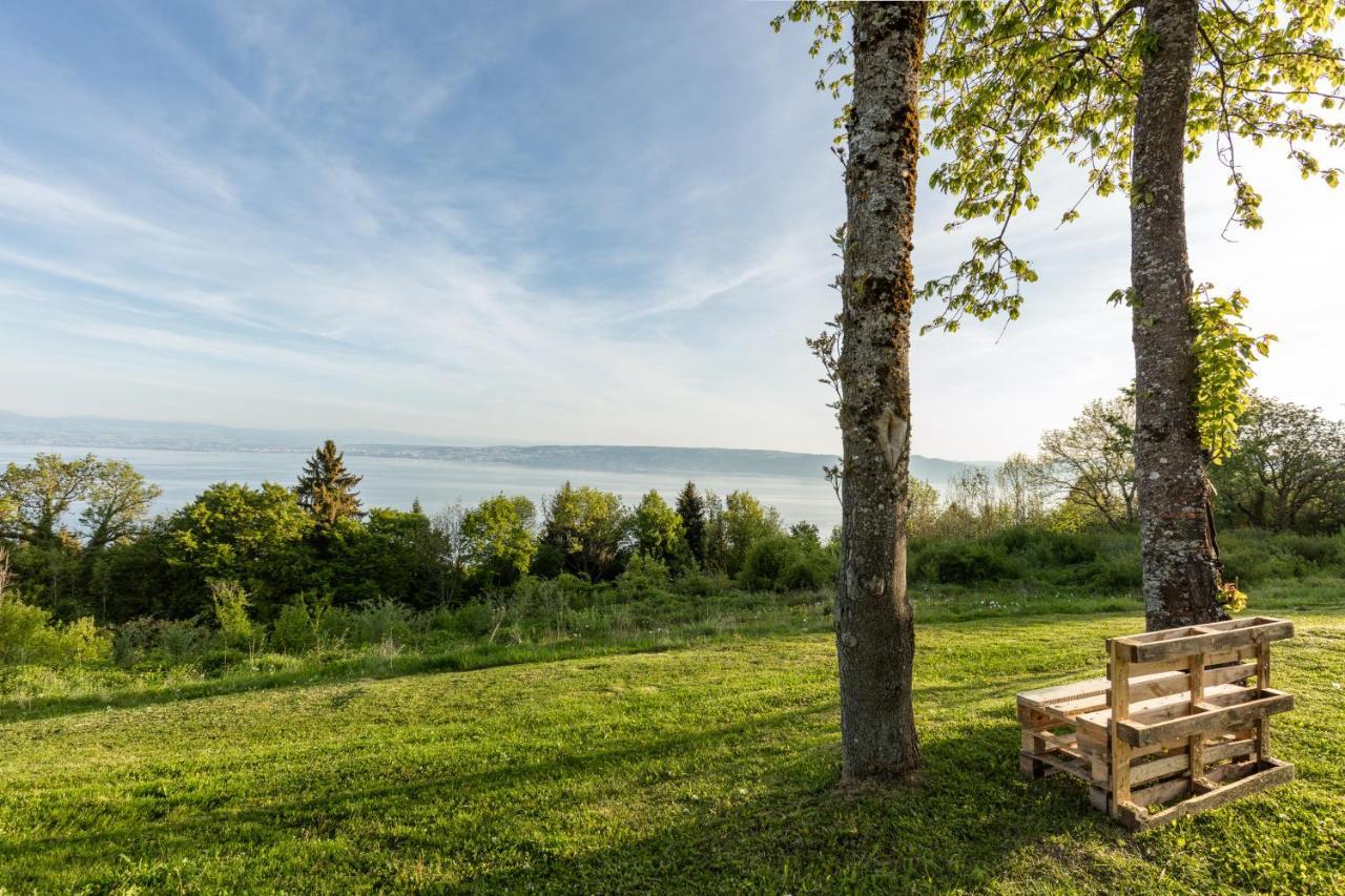 Garden & City Evian - Lugrin Bagian luar foto
